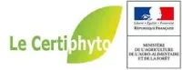 Certyphito
