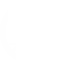 Dératisation.webp