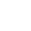 Traitement nids de guêpes ou frelons.webp