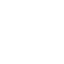 Traitement punaises de lits.webp