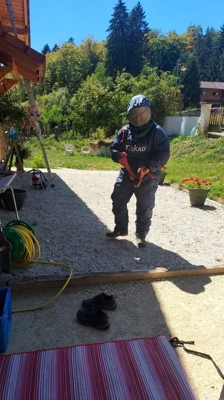 preparation désinsectisation