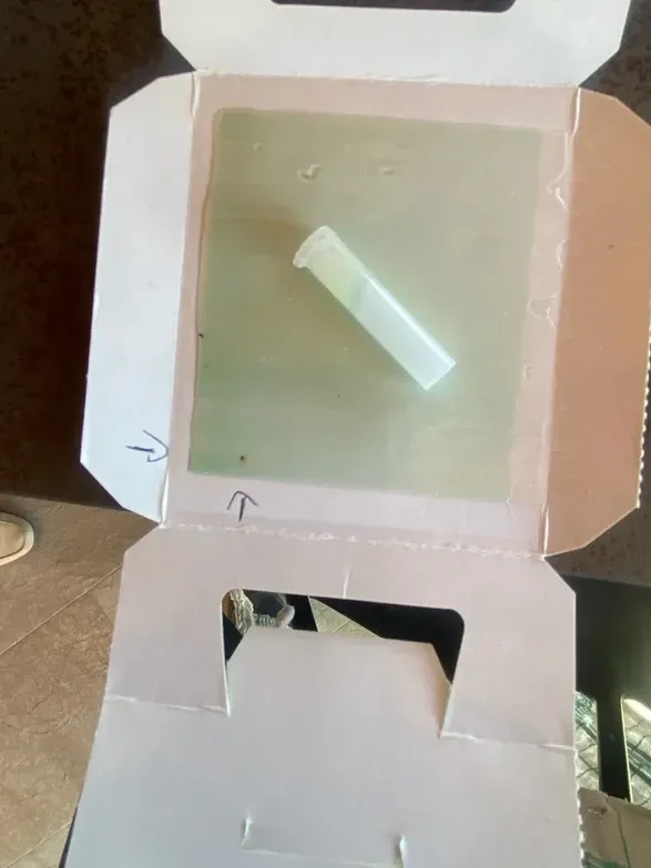 testes désinsectisation