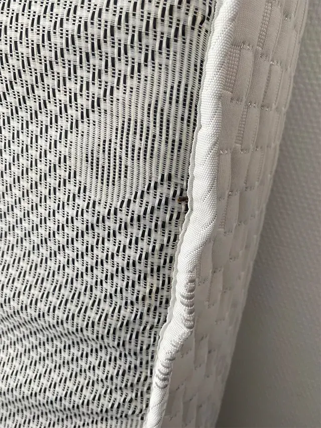 désinsectisation matela