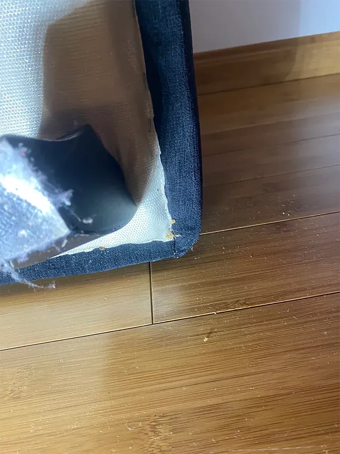 meuble désinsectisation