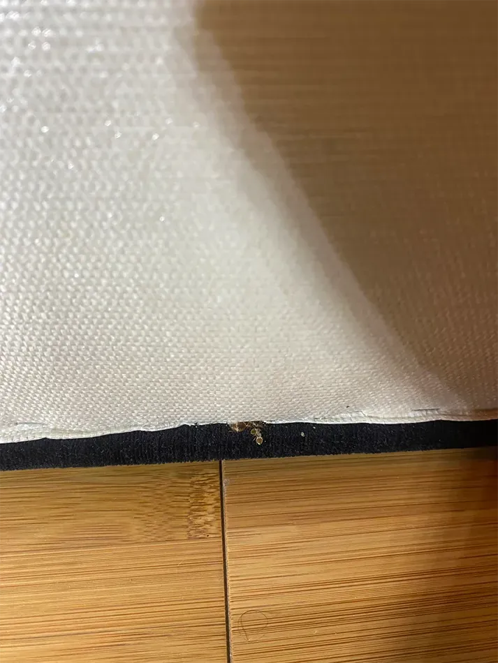 désinsectisation