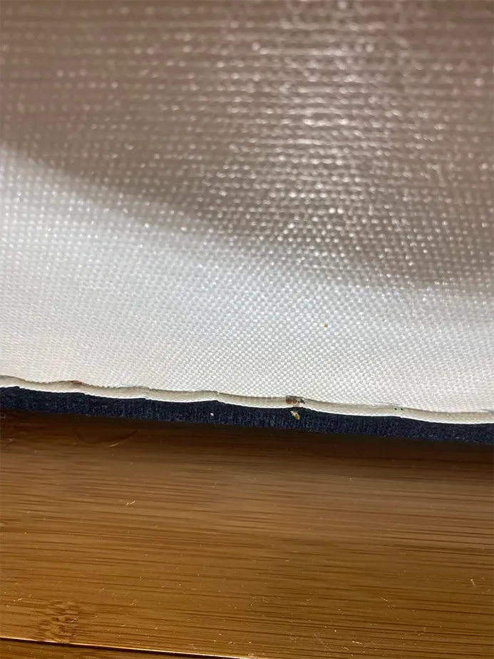 désinsectisation nuisibles