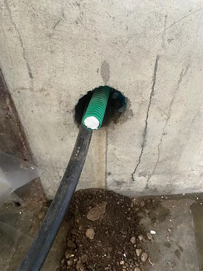 dératisation tuyau