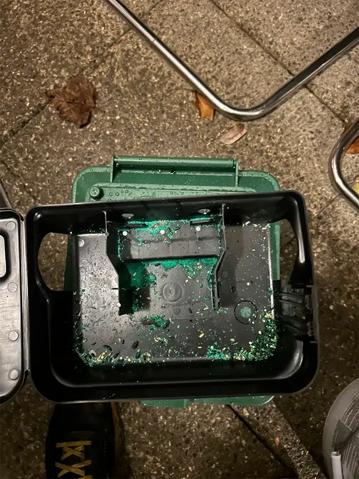 dératisation en cours